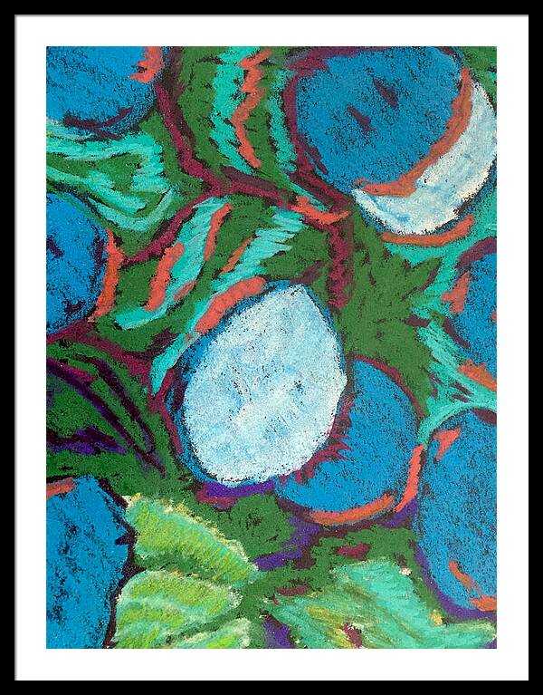 Framed Print | Blue Bunch | Gretchen Langner Art